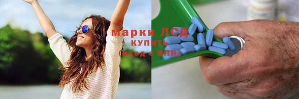 spice Няндома