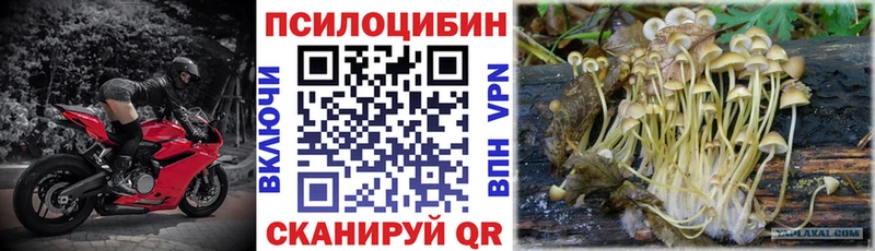 гидра рабочий сайт  как найти закладки  Покров  Псилоцибиновые грибы прущие грибы 